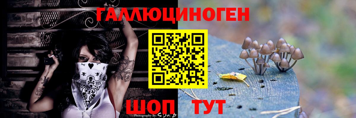 Псилоцибиновые грибы MAGIC MUSHROOMS Комсомольск-на-Амуре